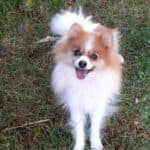 Princess - - Bild 9