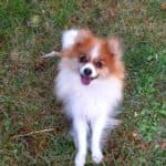 Princess - - Bild 7