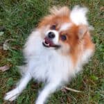 Princess - - Bild 3