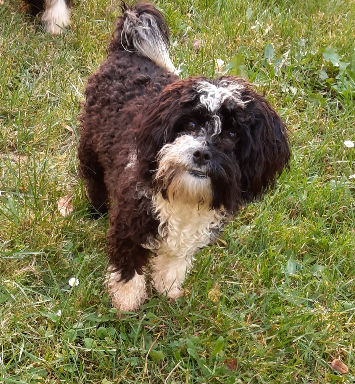 Bert - - Bild 10