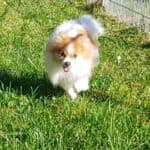 Princess - - Bild 11