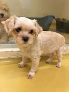 Findus - - Bild 1