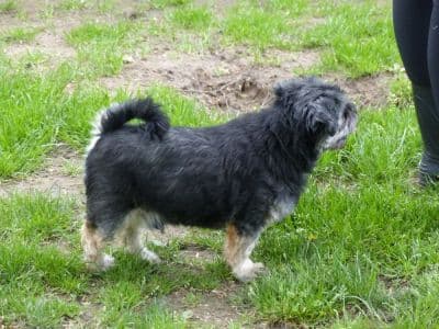 Krümelchen - - Bild 2