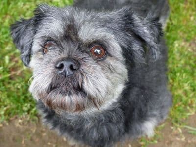 Krümelchen - - Bild 3