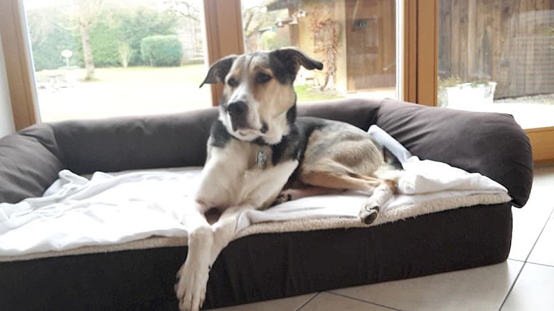 Luke - - Bild 2