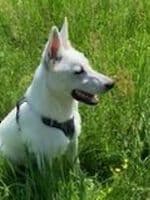 Coco - - Bild 6