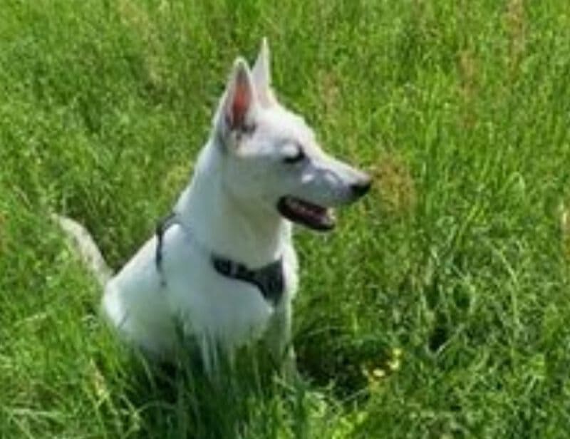 Coco - - Bild 5