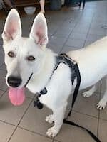 Coco - - Bild 8