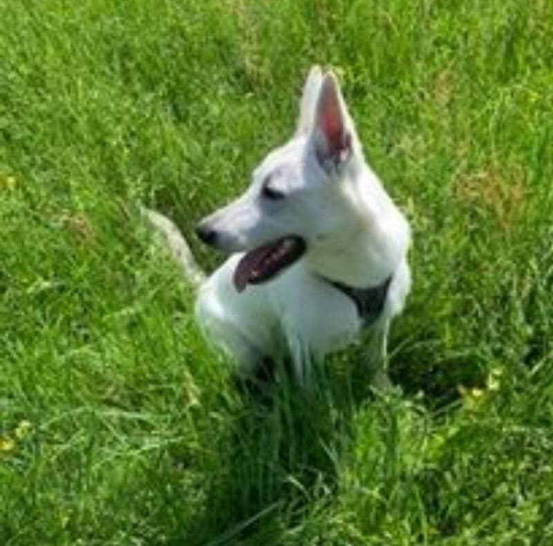 Coco - - Bild 9