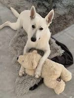 Coco - - Bild 2