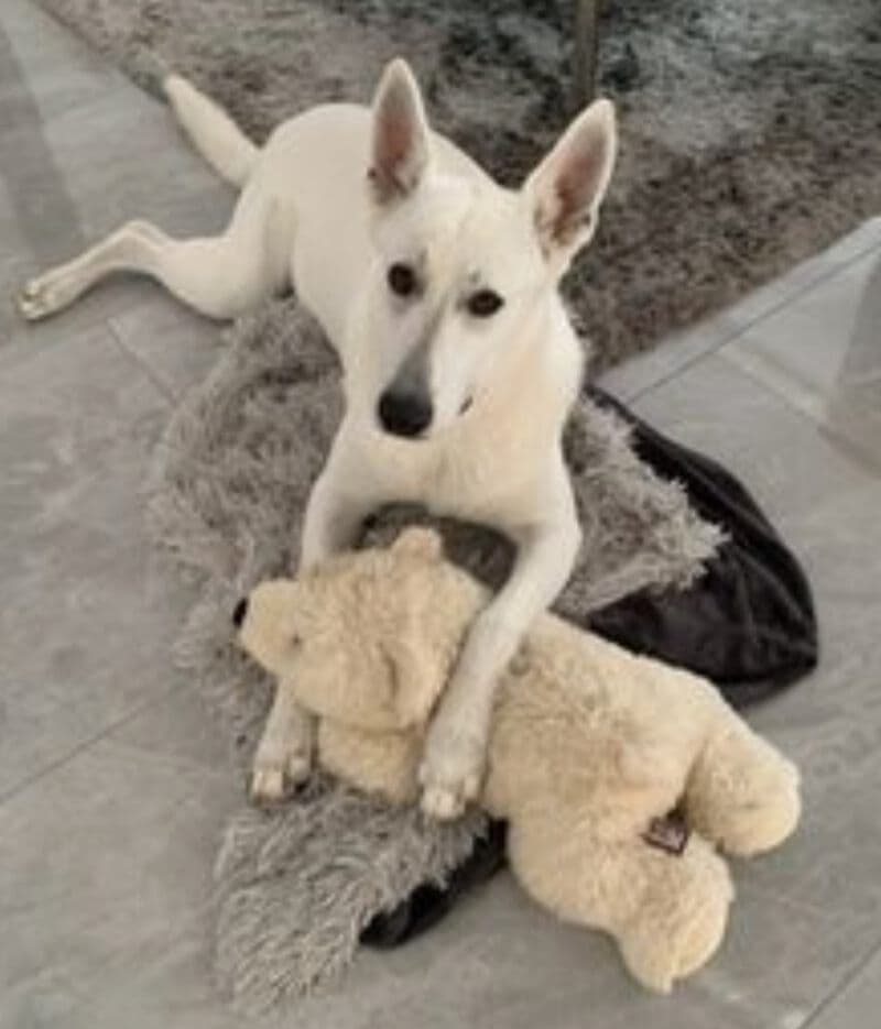Coco - - Bild 1