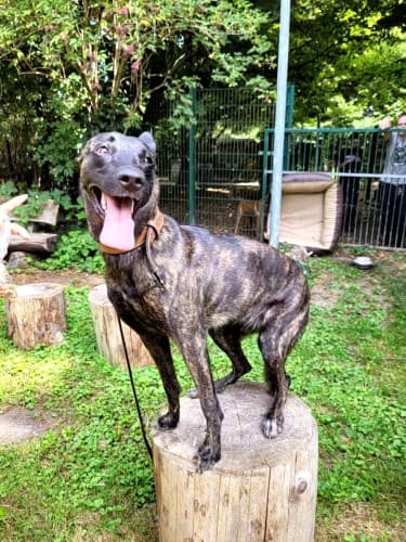 Freya - - Bild 1