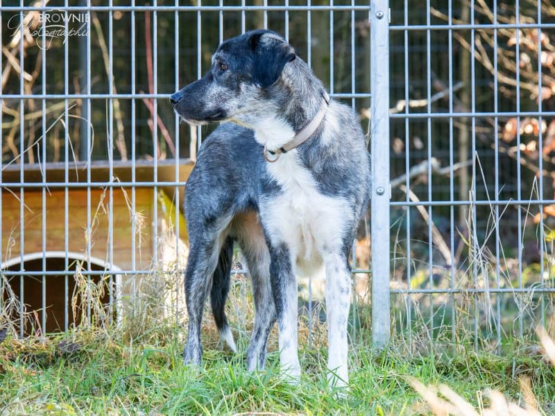 Unbekannt - - Bild 10