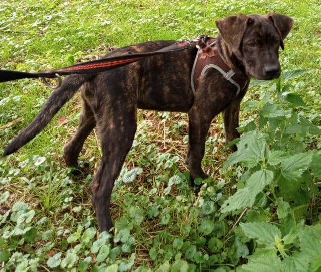 Salvatore - - Bild 5