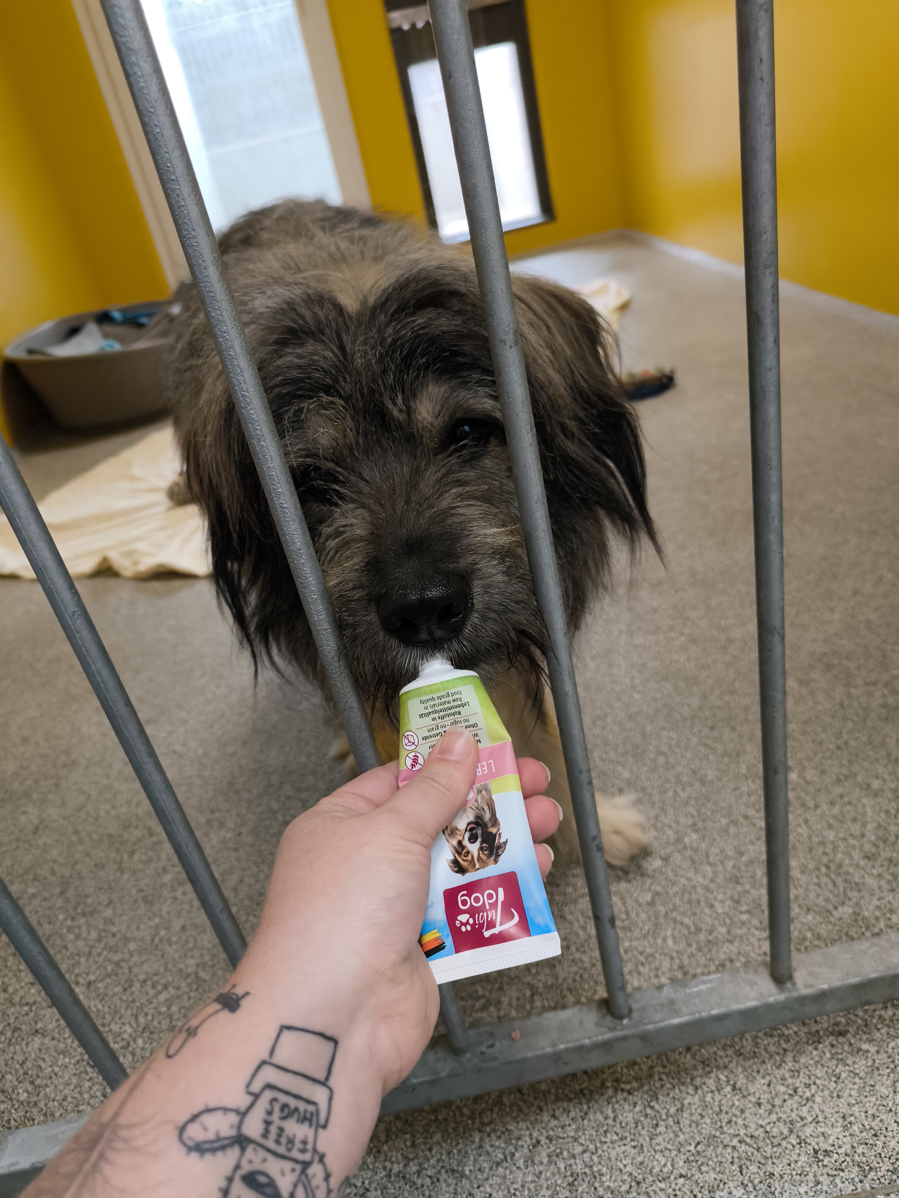 Teddybär - - Bild 5