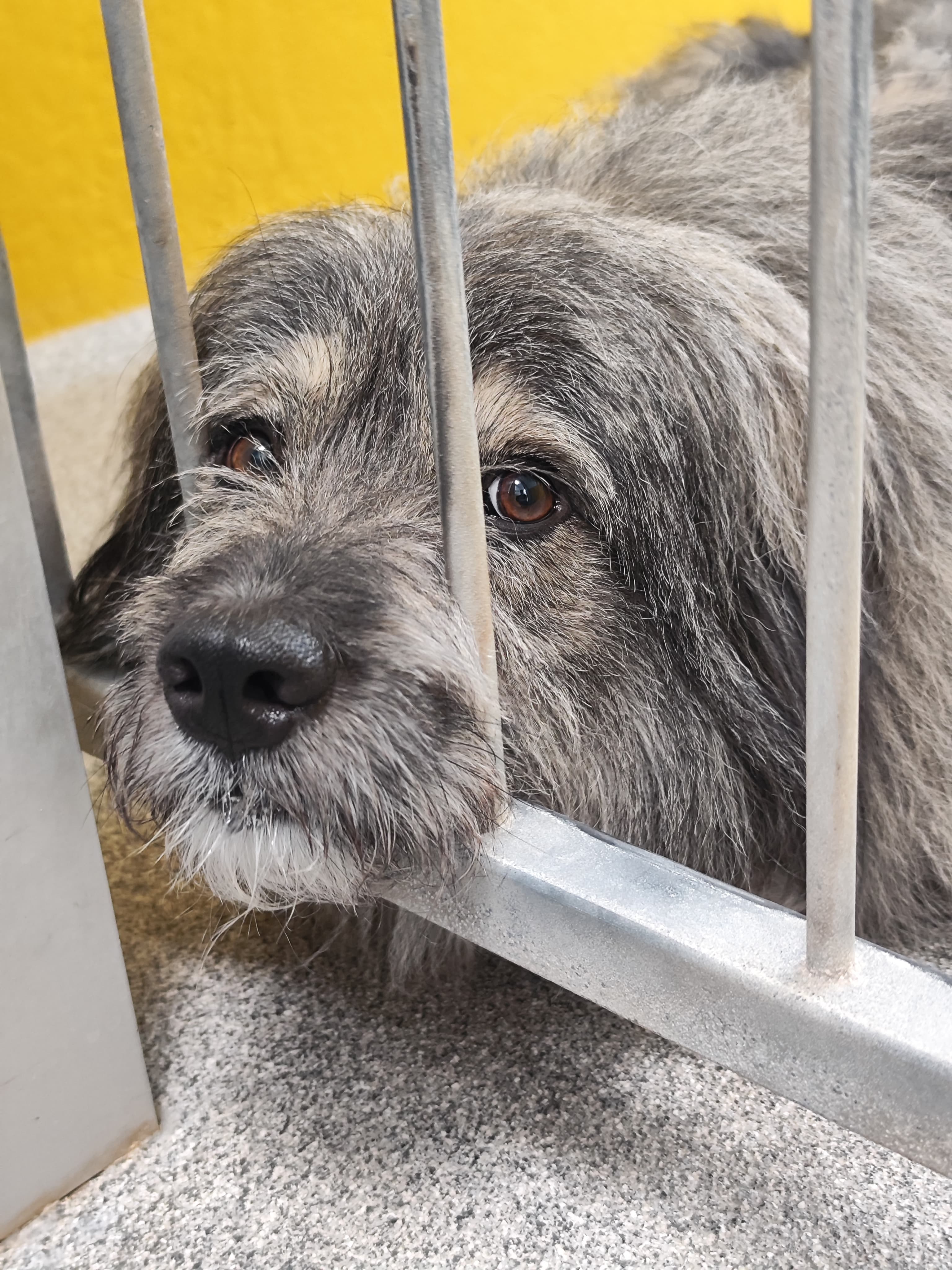 Teddybär - - Bild 14